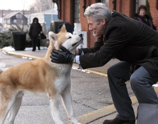 ȫ��ʮ������u�ߜI�Ӱ��̩̹���̖����̖���ĶY�￰�Q�p��֮��