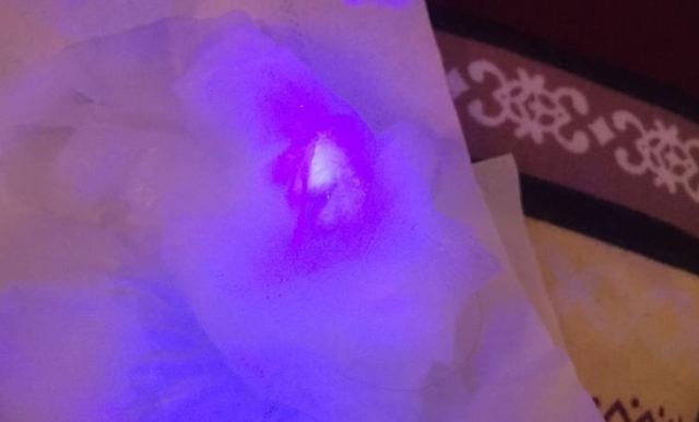 �ɹ��l(w��i)������Σ�� �ɹ℩�������