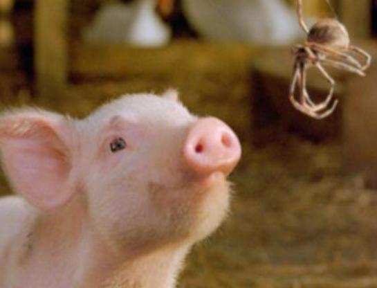 ����ʮ��ͯ�Ӱ����������Ҋ���҂����׃��@�����{�၆���桷������˼