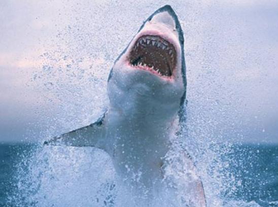 ʮ��������Ӱ��ˮ�׽��d������Ϣ�����sÓ����Ӣ�hԽ�z����