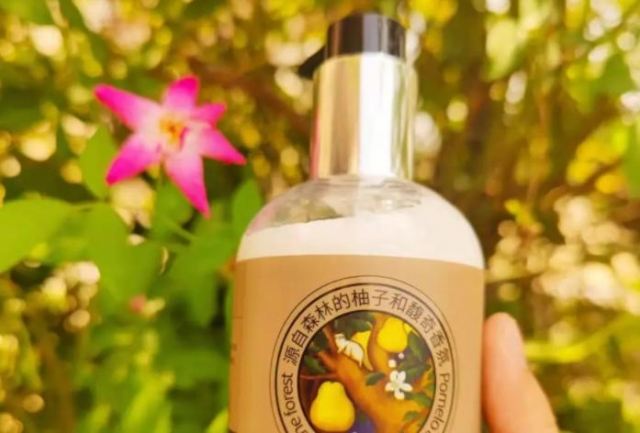 ĥɰ����С�w�����Æ᣿ĥɰ��ķ��