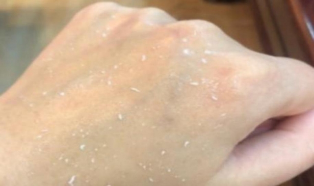 �^Ƥĥɰ���������p���^Ƥ ���wĥɰ����^Ƥĥɰ��ą^(q��)�e