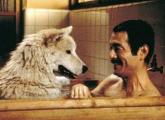 ʮ���ձ��u��9���ϵ��Ӱ��ǧ�cǧ�����|�����Z���ǽ�(j��ng)��֮��