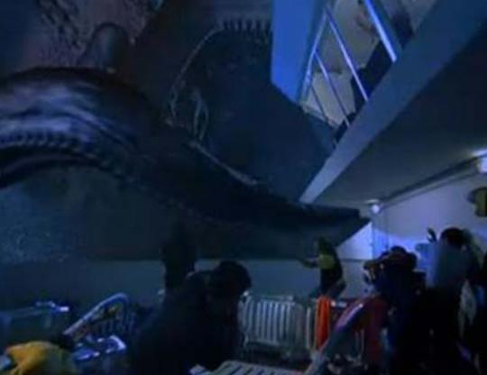 ʮ��ÿ��Ŀ����Ӱ��٪�_�o����ӭ���Լ��ĕr������˹���؜ؽ���