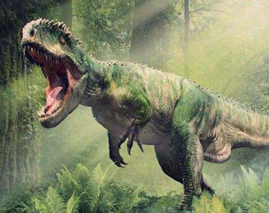 ʮ��ÿ��Ŀ����Ӱ��٪�_�o����ӭ���Լ��ĕr������˹���؜ؽ���