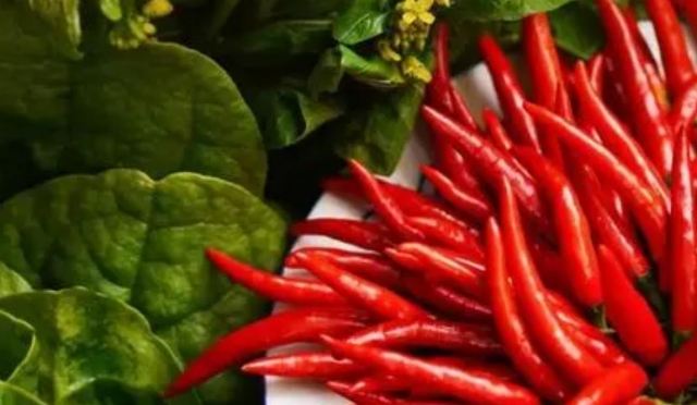 �������еĠI�B(y��ng) ���������w������