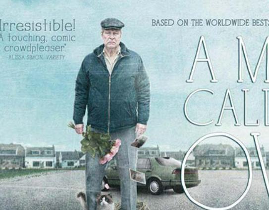 ʮ��߷�����ϵ�Ӱ�����������ŵļҡ����ٴγ��l��׌����ϧ���F��