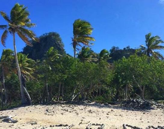 ȫ��ʮ��ð�U�Ӱ���а���Ҋ���ա��ču����������������