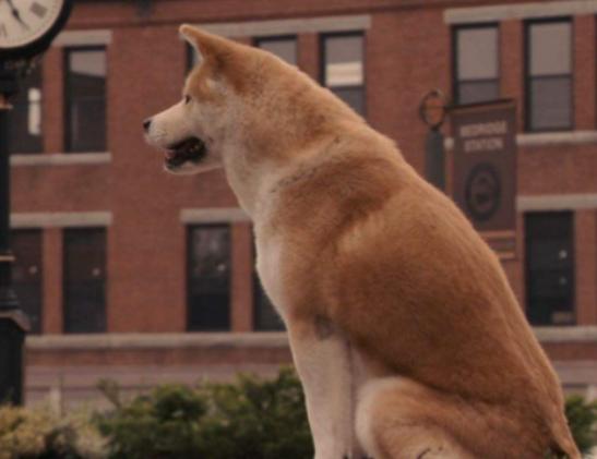 ʮ����䄡����Ӱ��������َ��������e������ֵ�Î�ˢ�Ľ���