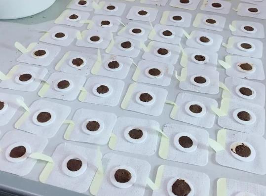 �N�����N��ʲô���ܳ����������N���ڿ��{(di��o)������Ӱ푆�