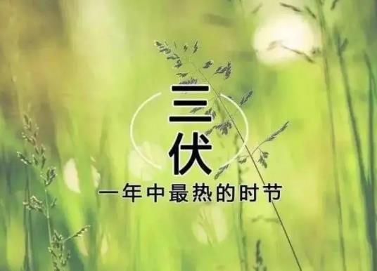 ��ʲô��Ҷ�ϲ�g������񱳣��������̫ꖳ��������Л]��ɶ�v��