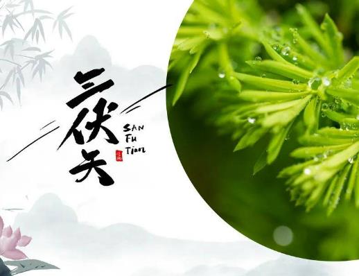 ��ʲô��Ҷ�ϲ�g������񱳣��������̫ꖳ��������Л]��ɶ�v��