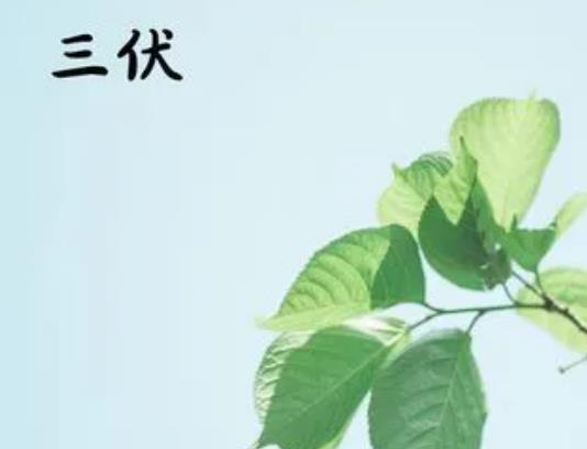 �������̫�һ���״Σ�Ů��������ȥ���ʲô���������