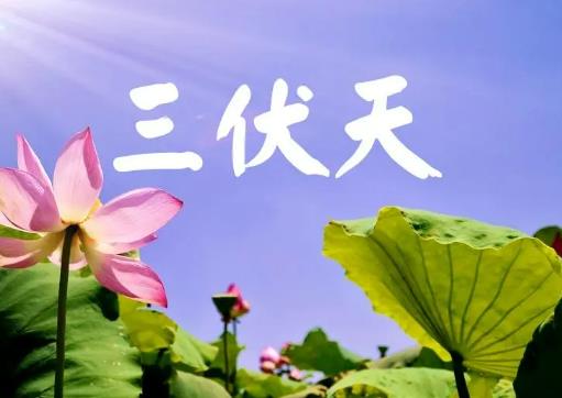 ������񱳺���Ժ�ˮ�᣿������񱳺��ÿ��Դ��L(f��ng)��