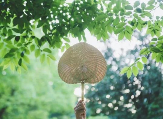 ������񱳿��Դ��·��᣿������񱳕�낀С�r߀��һ��С�r