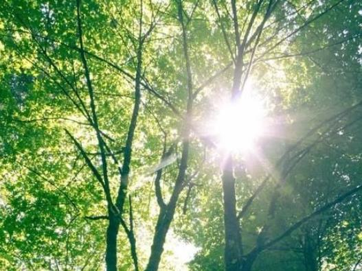 �������Ҫ�������źã���������߀��վ����