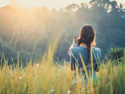 ���(y��ng)�_(t��i)�ϕ񱳿��Ԇ᣿�񱳳�����߀�ǲ�������