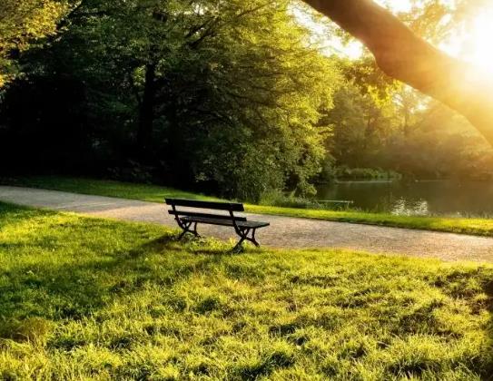 �񱳲������L(f��ng)�᣿��Ҫ���Ҋ(ji��n)Ч