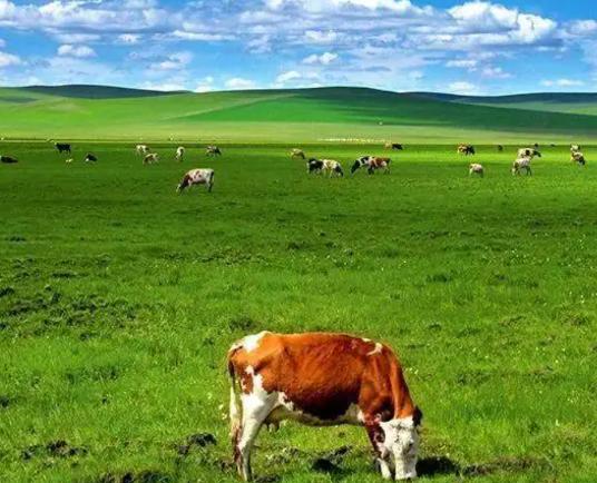 �Ї�����������ԭ��������ؐ���|����ԭ�������ԭ�����ĕ�����