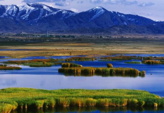 �Ї�(gu��)ʮ������ĵط���Į�ӱ��Q�����ݱ��O�����N(y��n)���Q����Ȼ���|(zh��)�����^