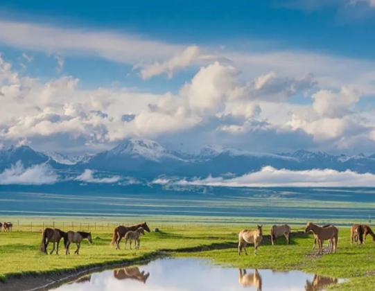 �Ї�(gu��)ʮ������ĵط���Į�ӱ��Q�����ݱ��O�����N(y��n)���Q����Ȼ���|(zh��)�����^