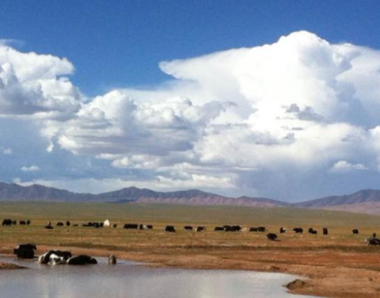 �Ї�(gu��)ʮ������ĵط���Į�ӱ��Q�����ݱ��O�����N(y��n)���Q����Ȼ���|(zh��)�����^