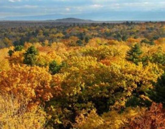 �Ї�ʮ������ɭ�֣�݆�_�h����ľ�����ֹ��@����ɽѩ�X��ɼ�ֳ����ʥ��