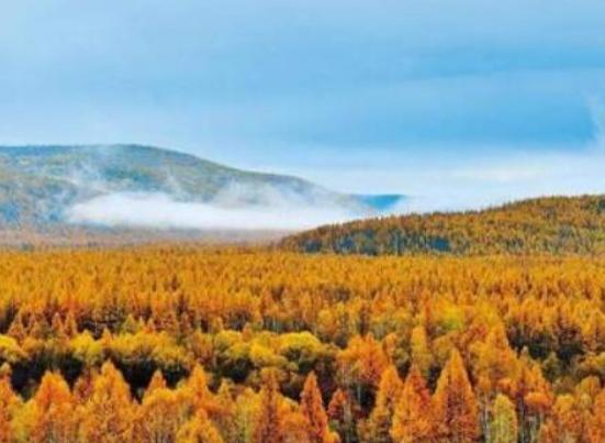 �Ї�ʮ������ɭ�֣�݆�_�h����ľ�����ֹ��@����ɽѩ�X��ɼ�ֳ����ʥ��