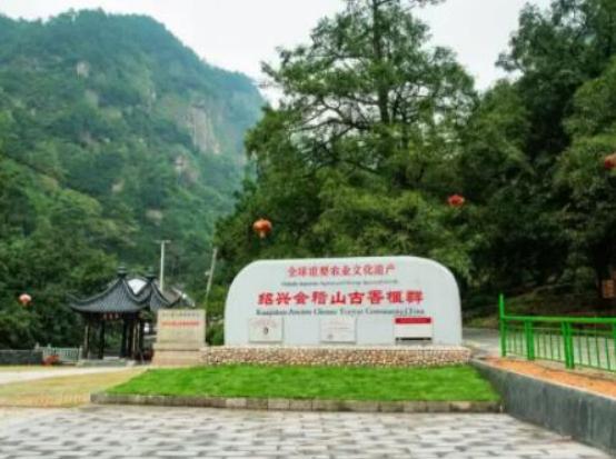 �Ї�ʮ������ɭ�֣�݆�_�h����ľ�����ֹ��@����ɽѩ�X��ɼ�ֳ����ʥ��