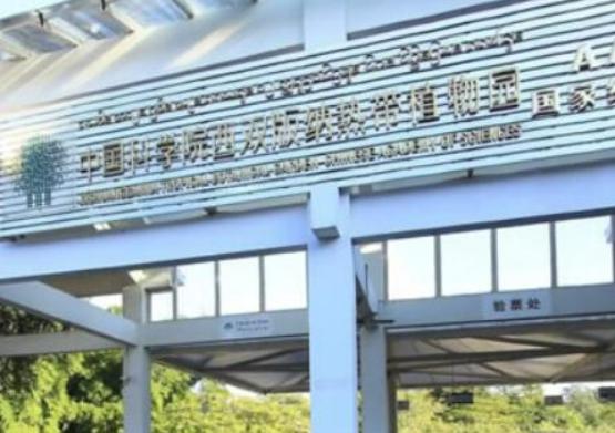 �Ї�ʮ������ɭ�֣�݆�_�h����ľ�����ֹ��@����ɽѩ�X��ɼ�ֳ����ʥ��