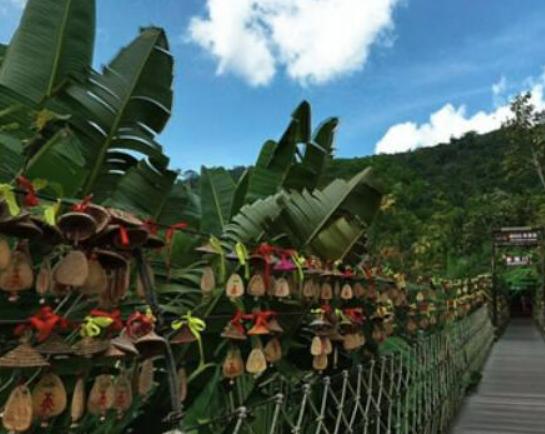 �Ї�ʮ������ɭ�֣�݆�_�h����ľ�����ֹ��@����ɽѩ�X��ɼ�ֳ����ʥ��