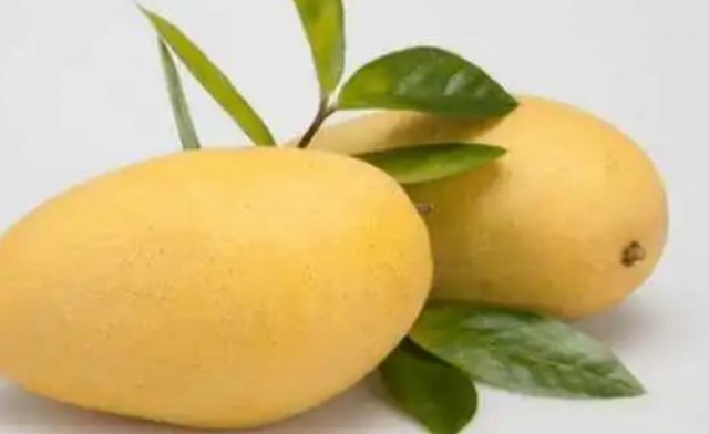 ��â���Ƿ���ߟ� С����â�����l(f��)����