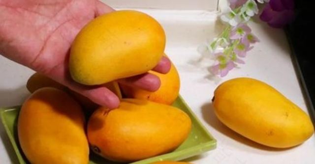 ��â���^������Щ�Y�� â���^�����Ժȗ�֦��¶��