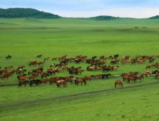 �Ї�ʮ��������ԭ����ؐ����ԭ̖�Q���������������ԭ�k������