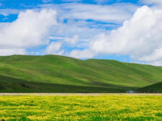 �Ї�ʮ��������ԭ����ؐ����ԭ̖�Q���������������ԭ�k������