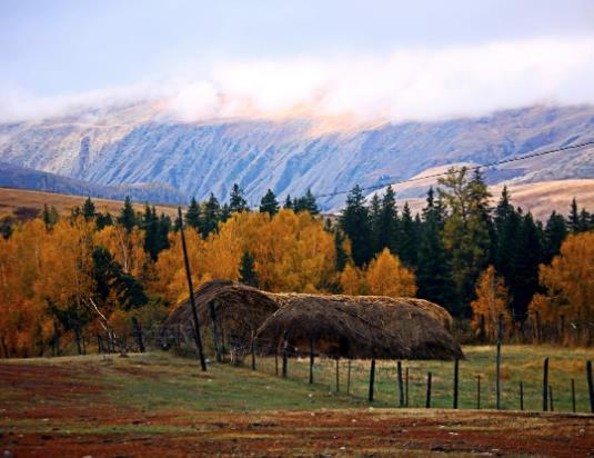 �½����������F�O���������½��������ﲻ��