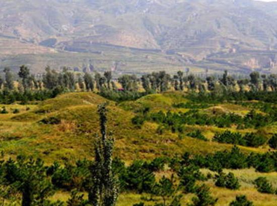 �Ї�������ʮ����Ĺ����ʼ�ʱ��Rٸ���������궼�����c����