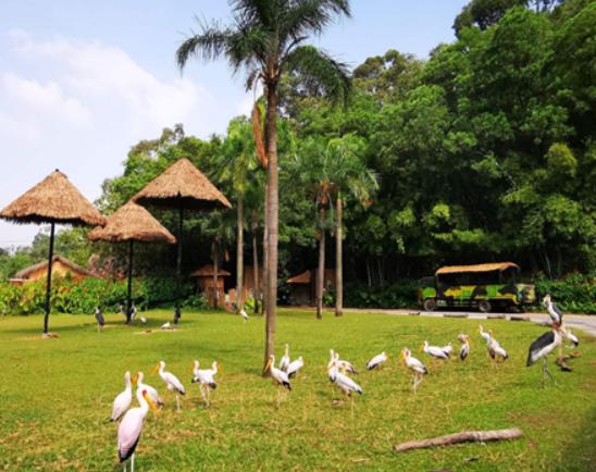 �Ї�ʮ��ɭ�ք���@���V���L¡Ұ������@���������dҰ������@֪���ȸ�