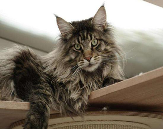 ʮ����ճ�˵�؈��������ż؈�Ը����o���K���m�۶�؈�����ԏ�