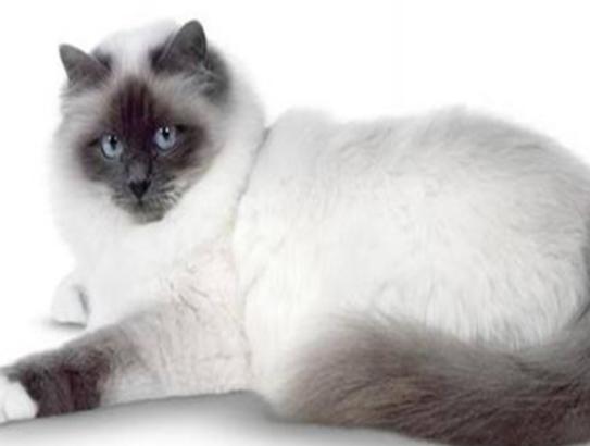 ʮ����ճ�˵�؈��������ż؈�Ը����o���K���m�۶�؈�����ԏ�