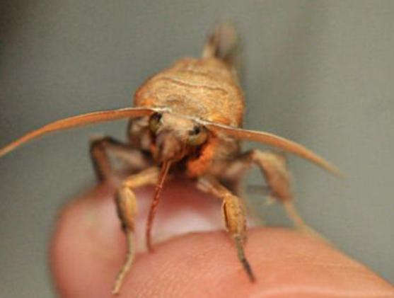 ʮ����Ѫ���x�������F����ª�����������ǂ�Ⱦ�Լ��������g����