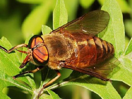 ʮ����Ѫ���x�������F����ª�����������ǂ�Ⱦ�Լ��������g����