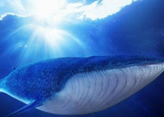 ����10������������а񣬪{��ˮĸ�����������{�L�l�R��^