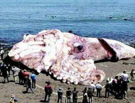 ����10������������а񣬪{��ˮĸ�����������{�L�l�R��^