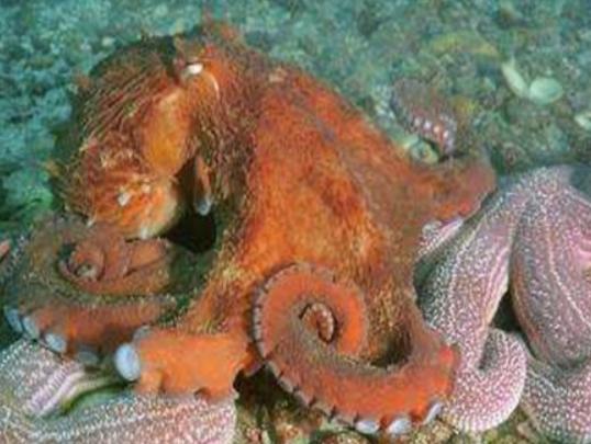 ����10������������а񣬪{��ˮĸ�����������{�L�l�R��^