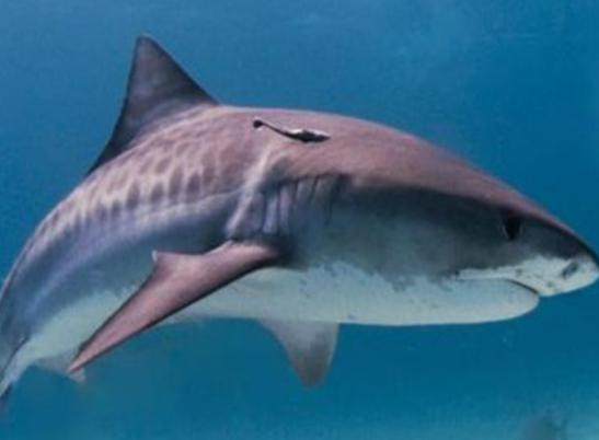 ����10������������а񣬪{��ˮĸ�����������{�L�l�R��^