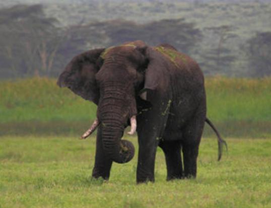 ����ꑵ�10������������а񣬷�����������e�����R��;޴�