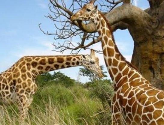 ����ꑵ�10������������а����������(zh��n)�������e(cu��)�����R��;޴�