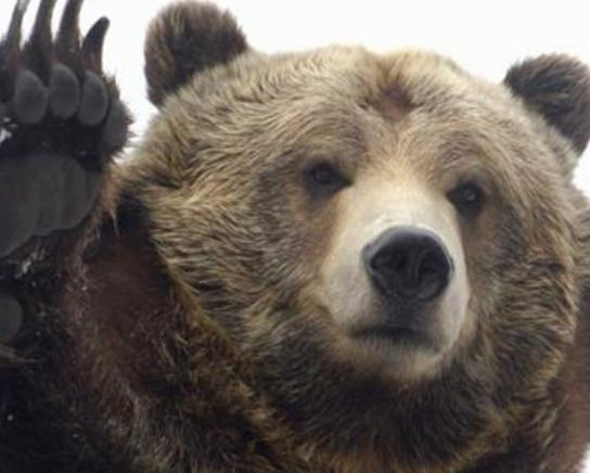 ����ꑵ�10������������а����������(zh��n)�������e(cu��)�����R��;޴�