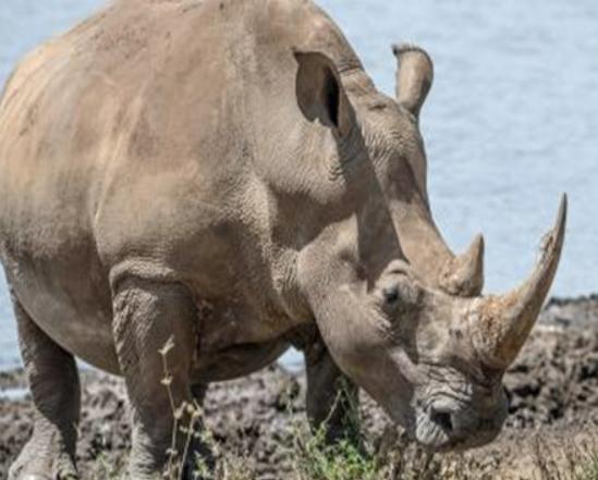 ����ꑵ�10������������а����������(zh��n)�������e(cu��)�����R��;޴�